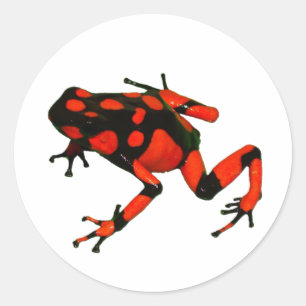 DUNKELFELDER, FROGSTICKER RUNDER AUFKLEBER