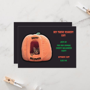 Dunkelgrau und orange Pumpkin Kitten Halloween Einladung