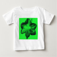 Dunkelgrün auf hellgrünen Amaryllis
