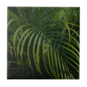 Dunkelgrüne Palmwedel Fliese