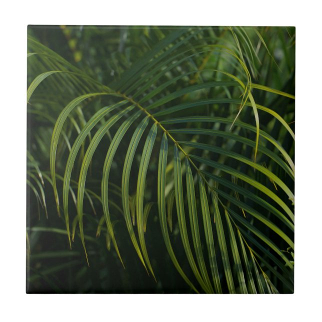 Dunkelgrüne Palmwedel Fliese (Vorderseite)