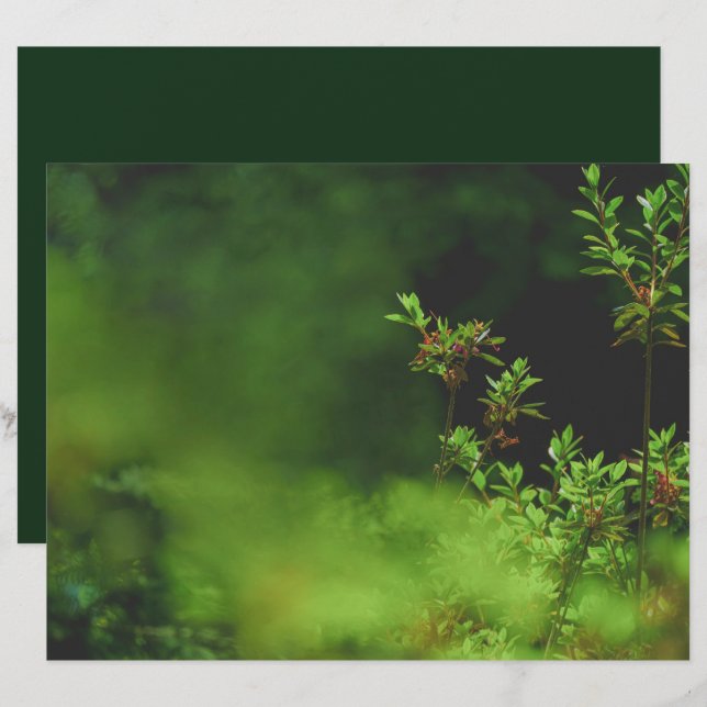 Dunkelgrüne Wald Scrapbook Papier (Vorne/Hinten)