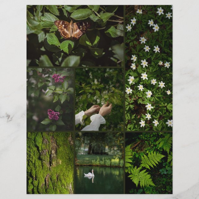 Dunkelgrünes Nature Core Scrapbooking Papier (Vorderseite)