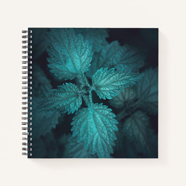Dunkelhaltiges Nesselnatur-Foto Notizbuch (Vorderseite)