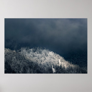 Dunkelheit und Sonne über verschneitem Fichtenwald Poster