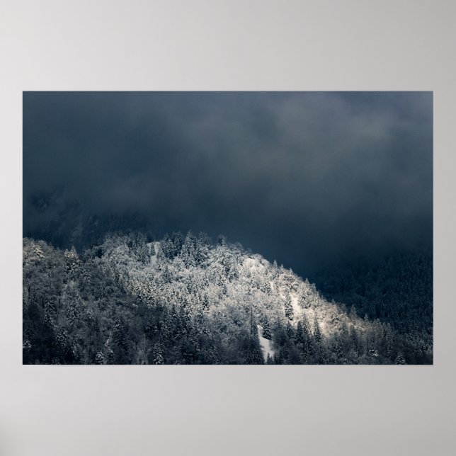 Dunkelheit und Sonne über verschneitem Fichtenwald Poster (Vorne)