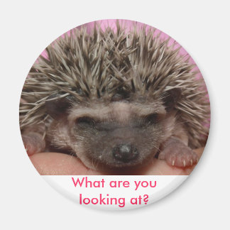 dunkelrosa 3, Was siehst du dir an? Magnet