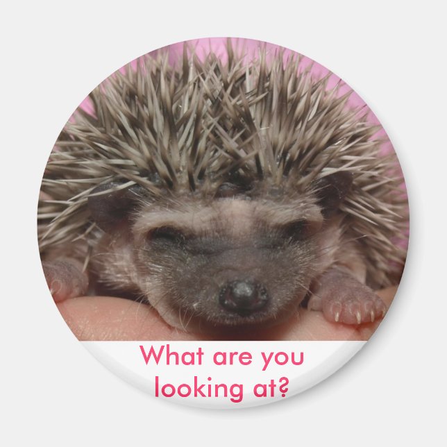 dunkelrosa 3, Was siehst du dir an? Magnet (Vorne)