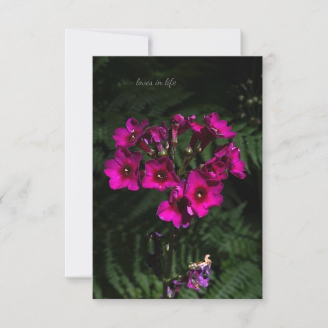 Dunkelrosa Blume mit Ferns Mitteilungskarte (Vorderseite)