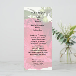 Dunkelrosa Hibiskus Programm