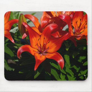Dunkelrosa Orangefarbene Lilie Mousepad