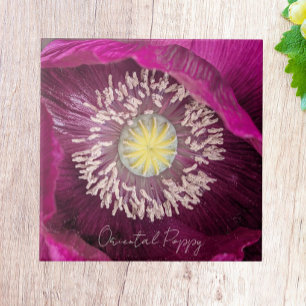 Dunkelrosa Orientalischer Mohn Blumen Fliese