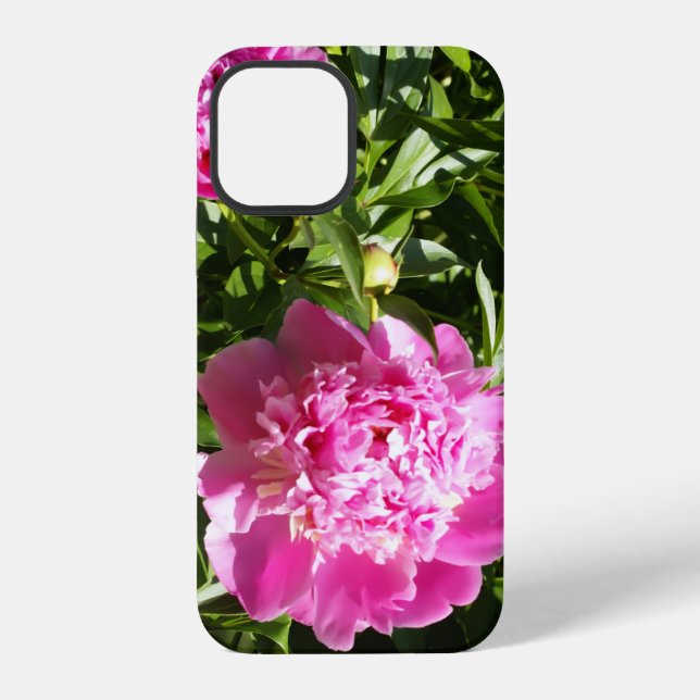 Dunkelrosa Pfingstrosen iPhone Hülle (Rückseite)
