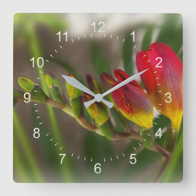 Dunkelrot-Freesie Quadratische Wanduhr (Vorderseite)
