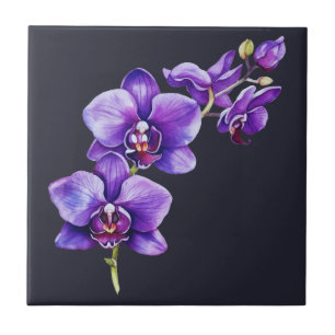 Dunkelschiefer grau, Lila Orchid Keramik Tile Fliese