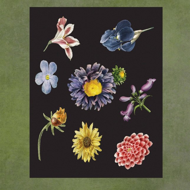 Dunkle botanische Blume auf schwarz Poster (Von Creator hochgeladen)