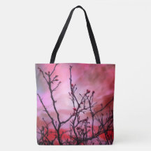 Dunkle Branchen roten Buds und fiery Sky