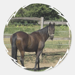 Dunkle Buchtthoroughbred-Aufkleber Runder Aufkleber