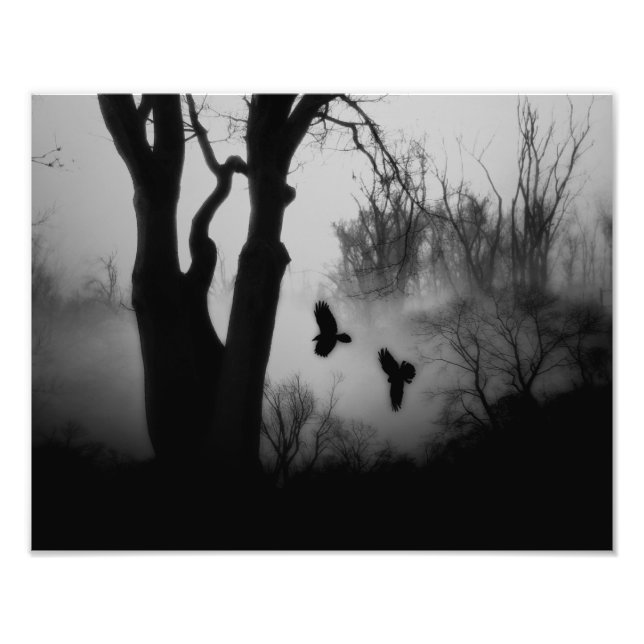 Dunkle geheimnisvolle Waldkrähen Fotodruck (Vorne)