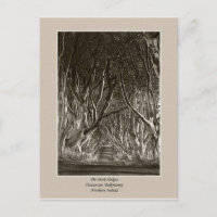Dunkle Hecken, Stranocum, Ballymoney NI Postkarte