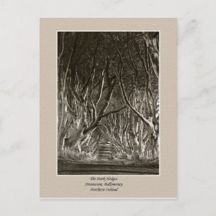 Dunkle Hecken, Stranocum, Ballymoney NI Postkarte