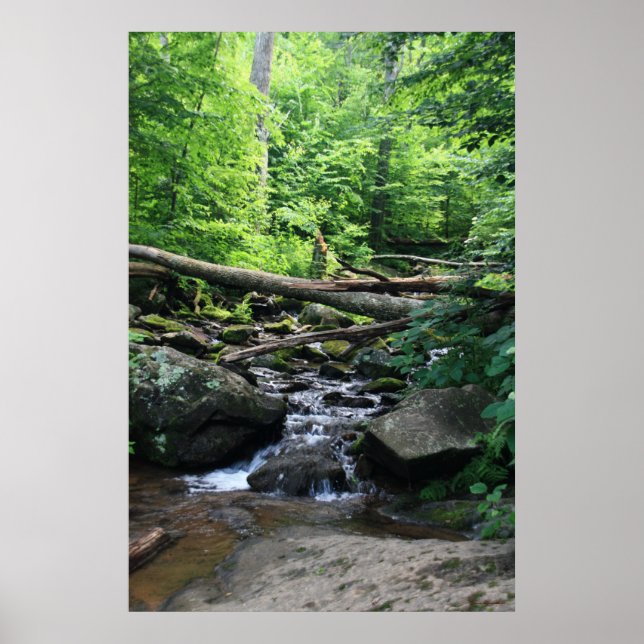 Dunkle Hollow Falls #4904 Poster (Vorne)