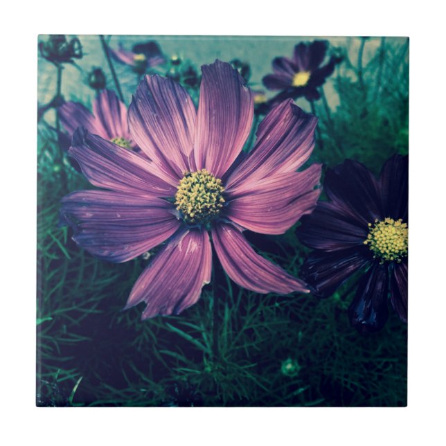 Dunkle lila Blumen Foto Kunst Fliese (Vorderseite)