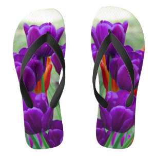 Dunkle lila Tulpen an einem sonnigen Tag im Garten Flip Flops