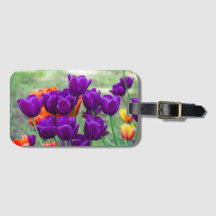 Dunkle lila Tulpen an einem sonnigen Tag im Garten