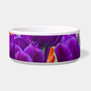 Dunkle lila Tulpen an einem sonnigen Tag im Garten Napf