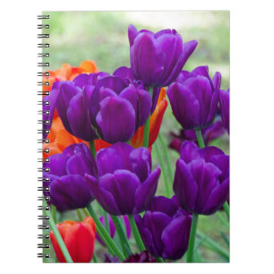 Dunkle lila Tulpen an einem sonnigen Tag im Garten Notizblock