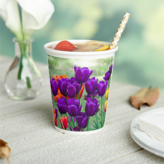 Dunkle lila Tulpen an einem sonnigen Tag im Garten Pappbecher