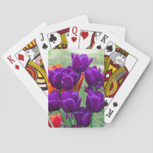 Dunkle lila Tulpen an einem sonnigen Tag im Garten