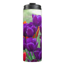 Dunkle lila Tulpen an einem sonnigen Tag im Garten