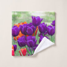 Dunkle lila Tulpen an einem sonnigen Tag im Garten