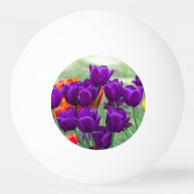 Dunkle lila Tulpen-Puppe