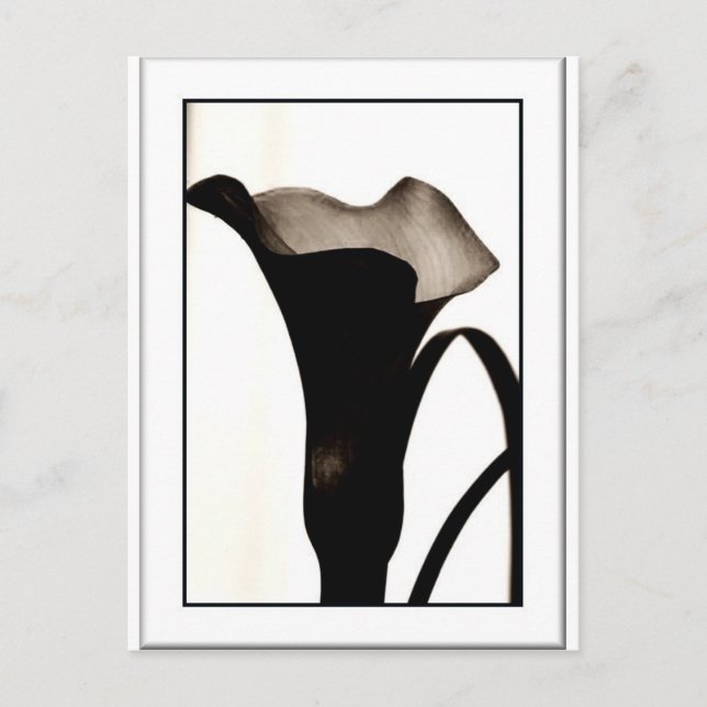 Dunkle Lüge Postkarte (Vorderseite)