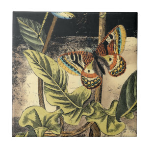 Dunkle Natur-Szene durch Visions-Studio Fliese