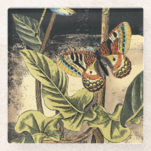 Dunkle Natur-Szene durch Visions-Studio Glasuntersetzer