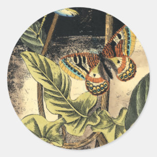 Dunkle Natur-Szene durch Visions-Studio Runder Aufkleber