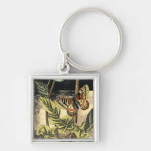 Dunkle Natur-Szene durch Visions-Studio Schlüsselanhänger