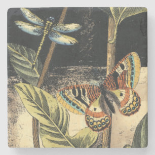 Dunkle Natur-Szene durch Visions-Studio Steinuntersetzer