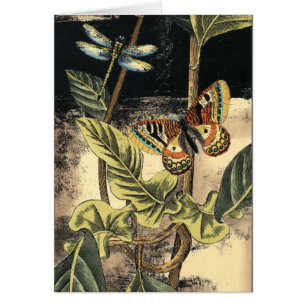 Dunkle Naturlandschaft durch Vision Studio