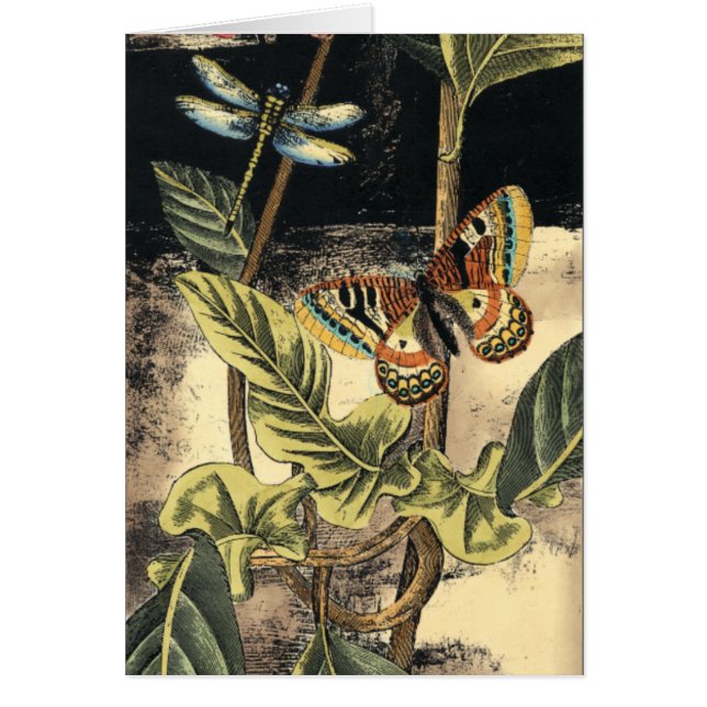 Dunkle Naturlandschaft durch Vision Studio (Vorne)