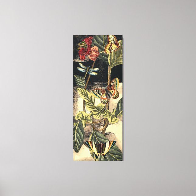 Dunkle Naturlandschaft durch Vision Studio Leinwanddruck (Vorderseite)