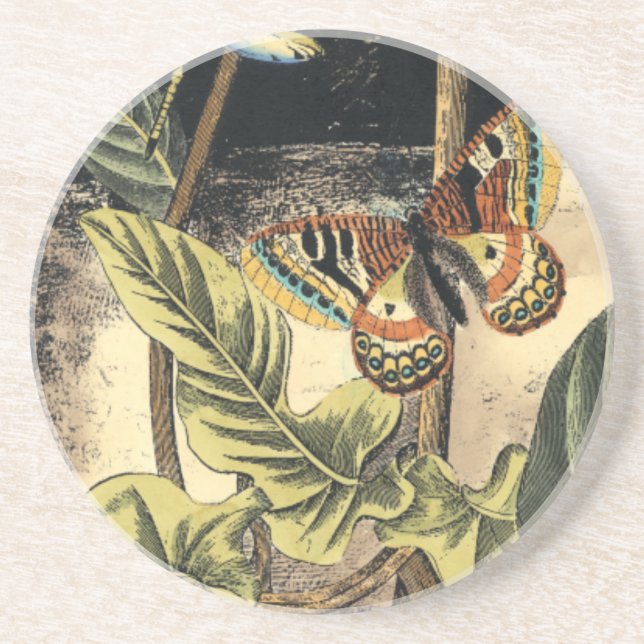 Dunkle Naturlandschaft durch Vision Studio Untersetzer (Vorne)