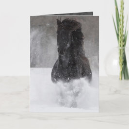 Dunkle Pferde Runs in der Snow II-Grußkarte Karte