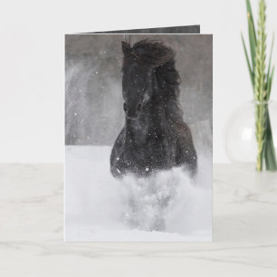 Dunkle Pferde Runs in der Snow II-Grußkarte Karte