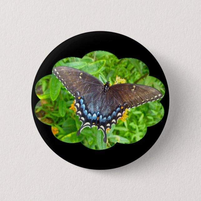 Dunkle Phase Tiger Swallowtail Schmetterlingsartik Button (Vorderseite)