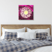 Dunkle Pink Oriental Mohnblume Floral